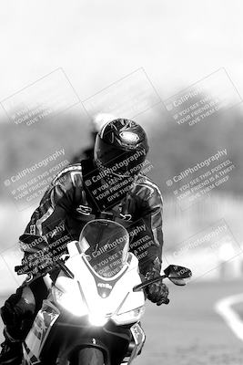 media/Nov-06-2023-Moto Forza (Mon) [[ce023d0744]]/4-Beginner Group/Session 3 (Track Exit)/